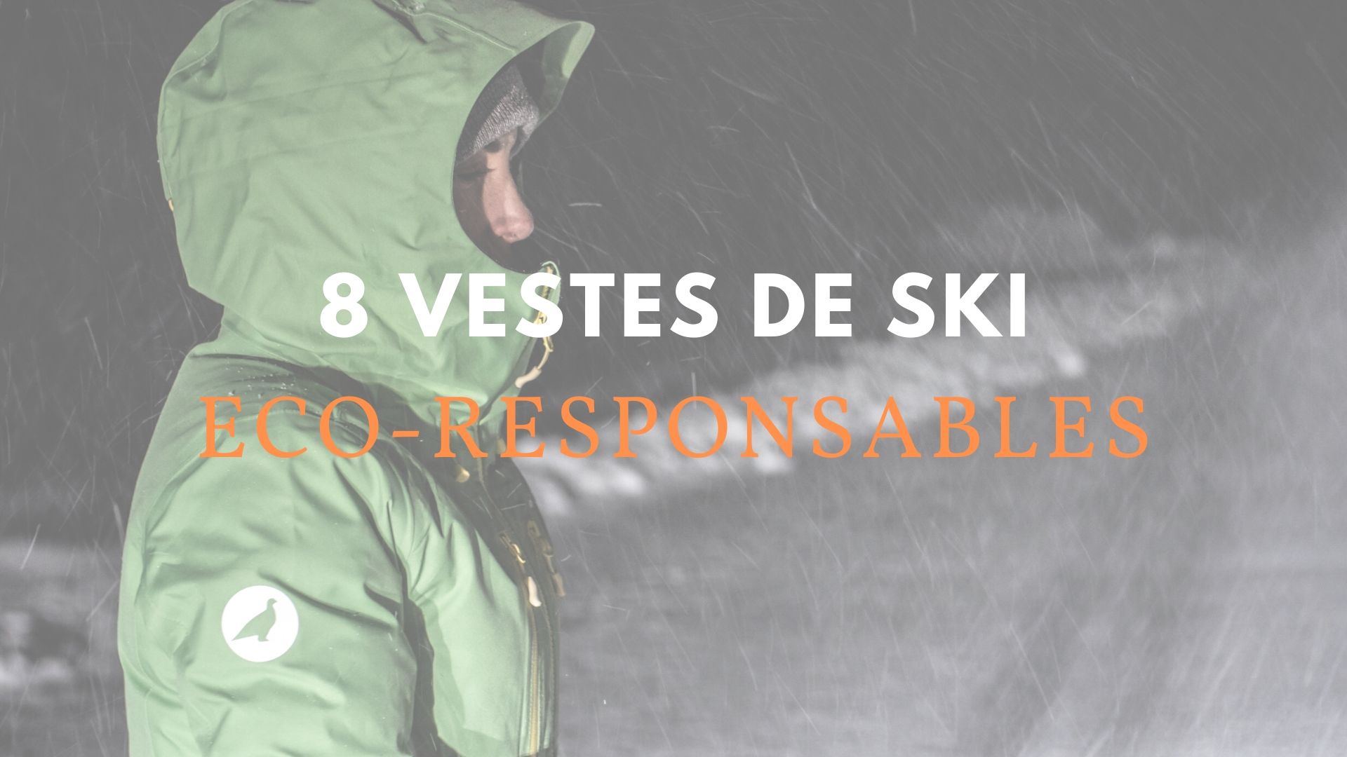 Les meilleures vestes de ski éco-responsables ﻿ - La Green Session