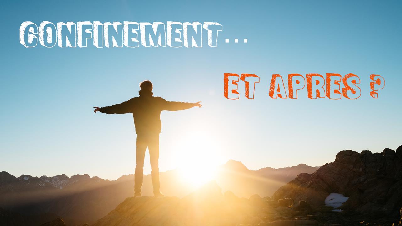 vignette article confinement