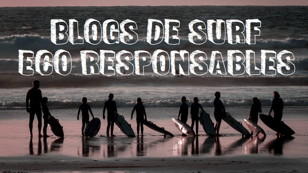 vignette article sur les blogs de surf éco-responsables