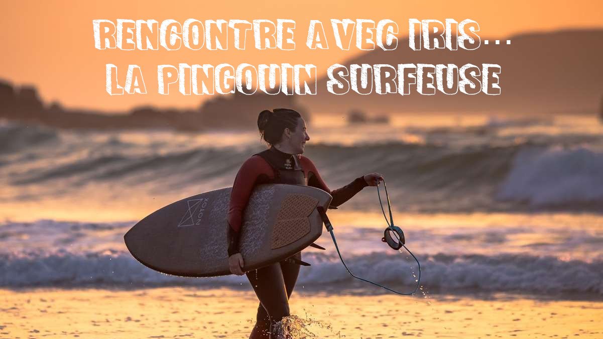 vignette-article-iris-la-pingouin-surfeuse